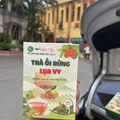 TRÀ ỔI RỪNG LỤA VY