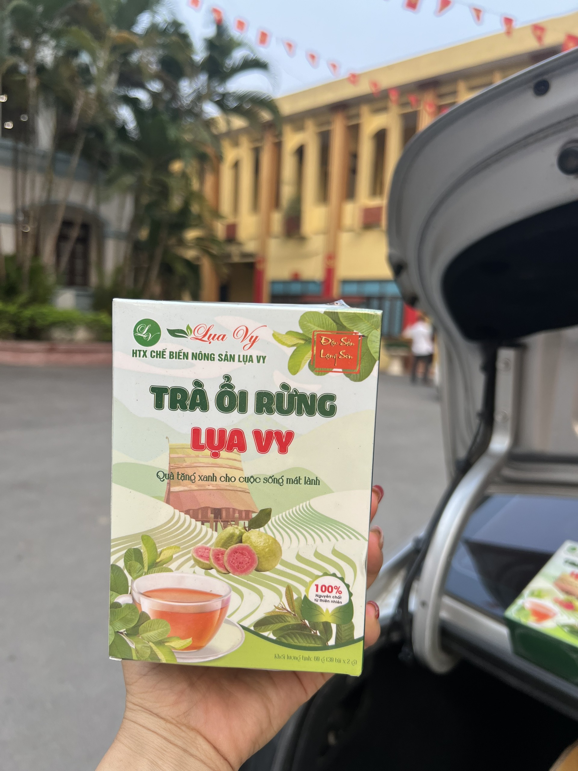 z5313918981494_7ea4446c99781cf01c20c61585d604d0 TRÀ ỔI RỪNG LỤA VY