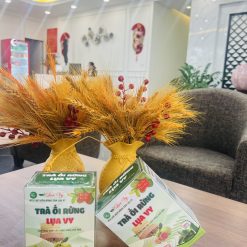 TRÀ ỔI RỪNG LỤA VY