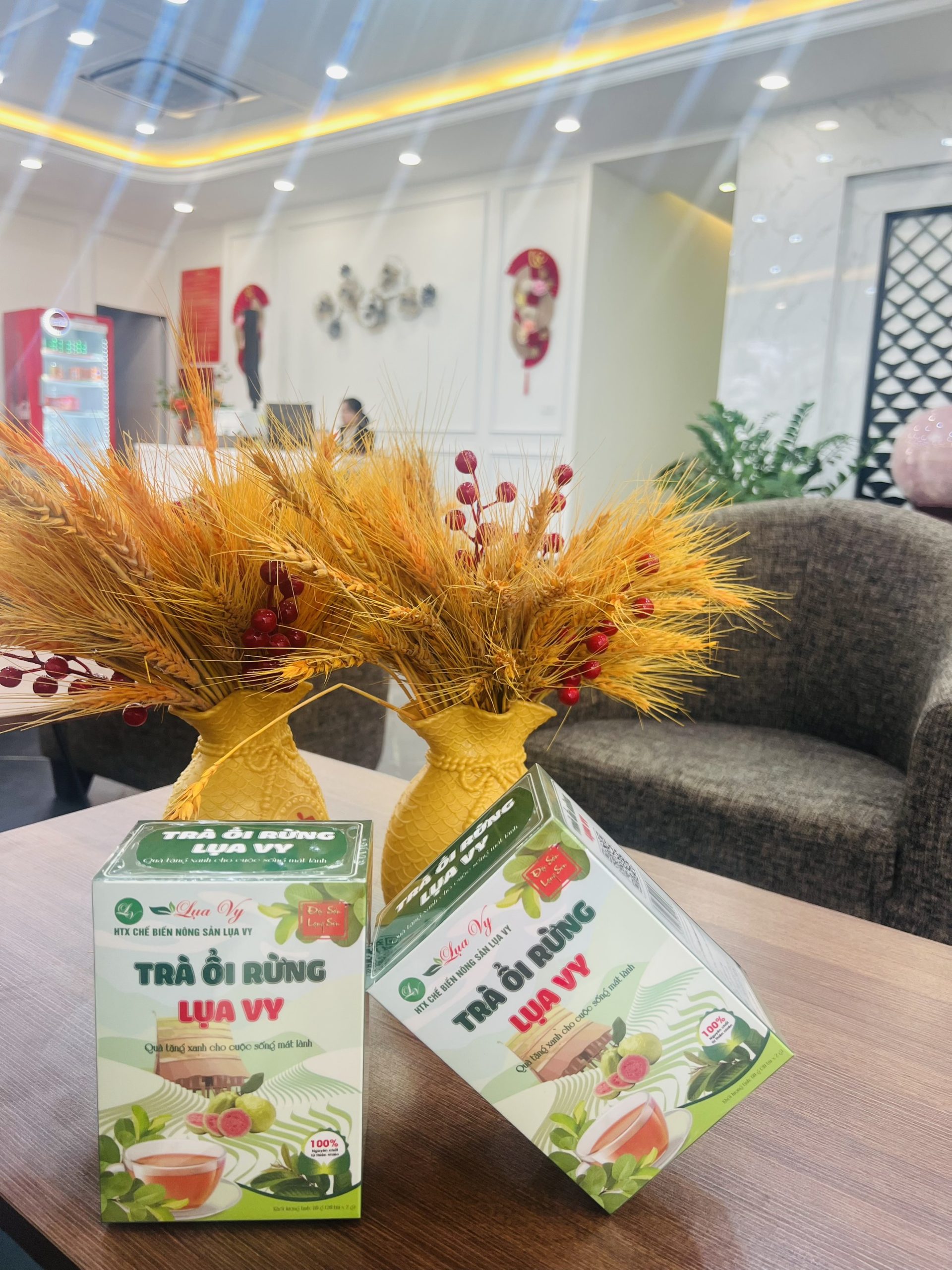 TRÀ ỔI RỪNG LỤA VY